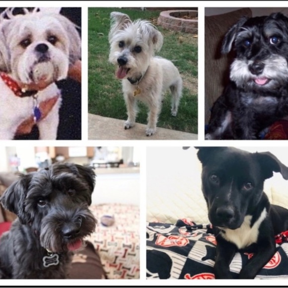 Unlisted closet clearout LIVE Sunday, 1/19 Variety of items and sizes - Picture 5 of 5